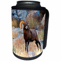 3dRose Danita Delimont - Sheep - South Dakota, The Wall, Badlands NP, Full Curl Male Big Horn Sheep - Can Cooler Bottle Wrap (cc_260000)