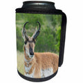 3dRose Danita Delimont - Antelope - USA, South Dakota, Custer State Park. Pronghorn buck close-up,. - Can Cooler Bottle Wrap (cc_260003)