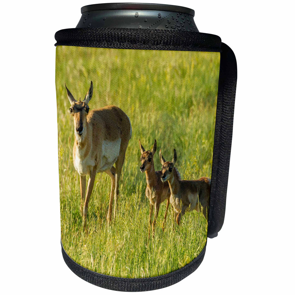 3dRose Danita Delimont - Antelope - USA, South Dakota, Custer State Park. Pronghorn mother and fawns. - Can Cooler Bottle Wrap (cc_260006)