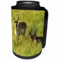 3dRose Danita Delimont - Antelope - USA, South Dakota, Custer State Park. Pronghorn mother and fawns. - Can Cooler Bottle Wrap (cc_260006)