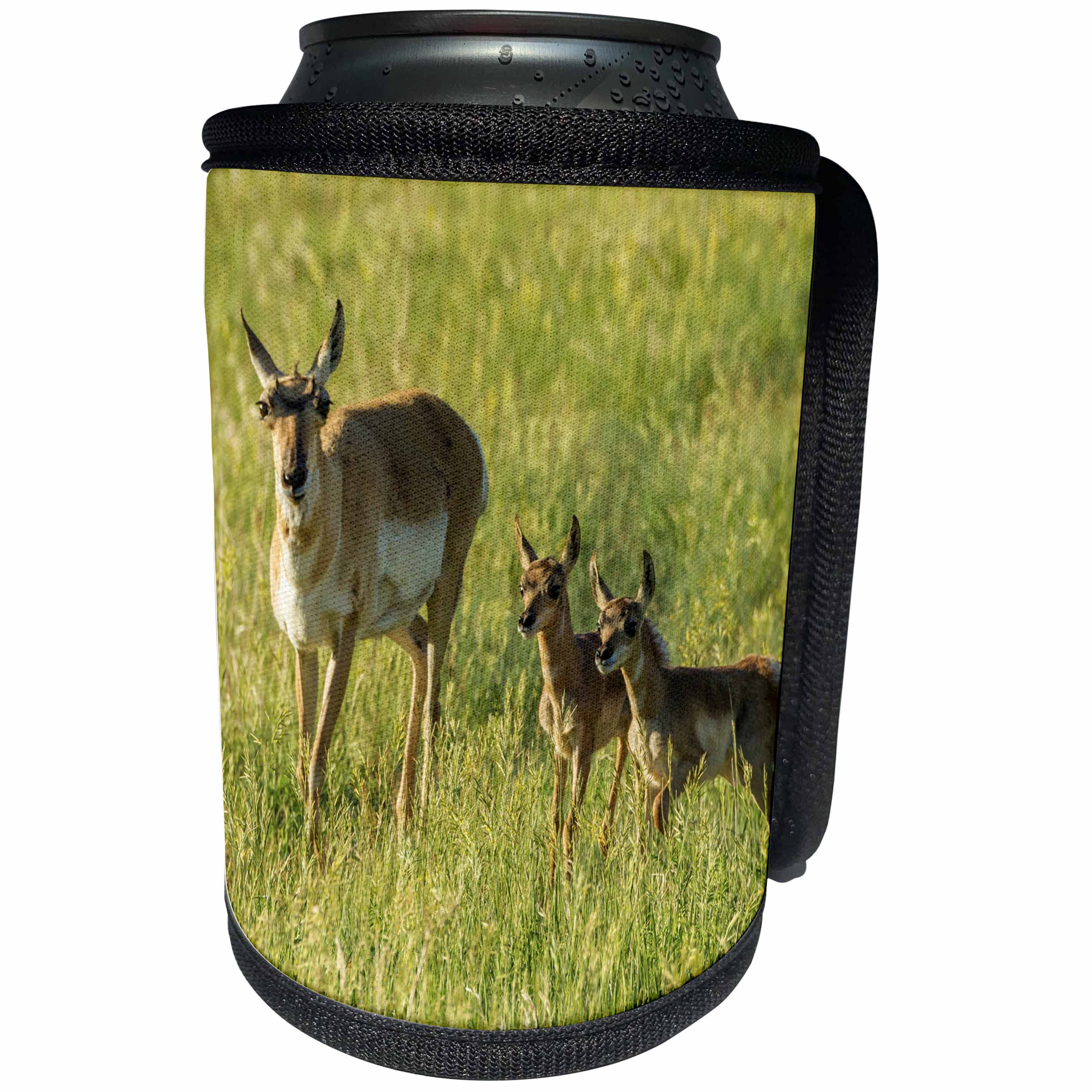 3dRose Danita Delimont - Antelope - USA, South Dakota, Custer State Park. Pronghorn mother and fawns. - Can Cooler Bottle Wrap (cc_260006)