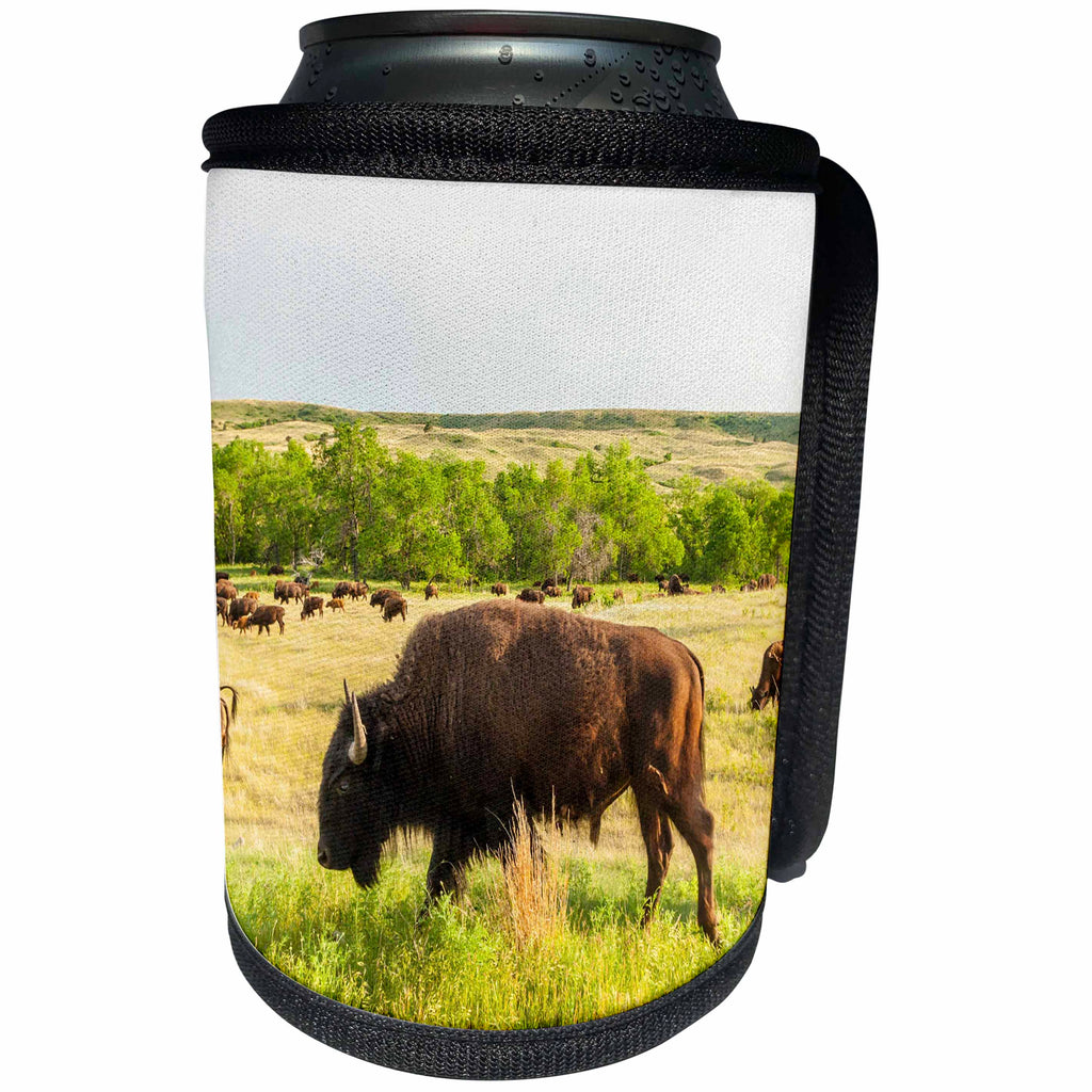 3dRose Danita Delimont - Bison - USA, South Dakota, Custer State Park. Bison herd roaming. - Can Cooler Bottle Wrap (cc_260007)