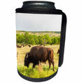 3dRose Danita Delimont - Bison - USA, South Dakota, Custer State Park. Bison herd roaming. - Can Cooler Bottle Wrap (cc_260007)