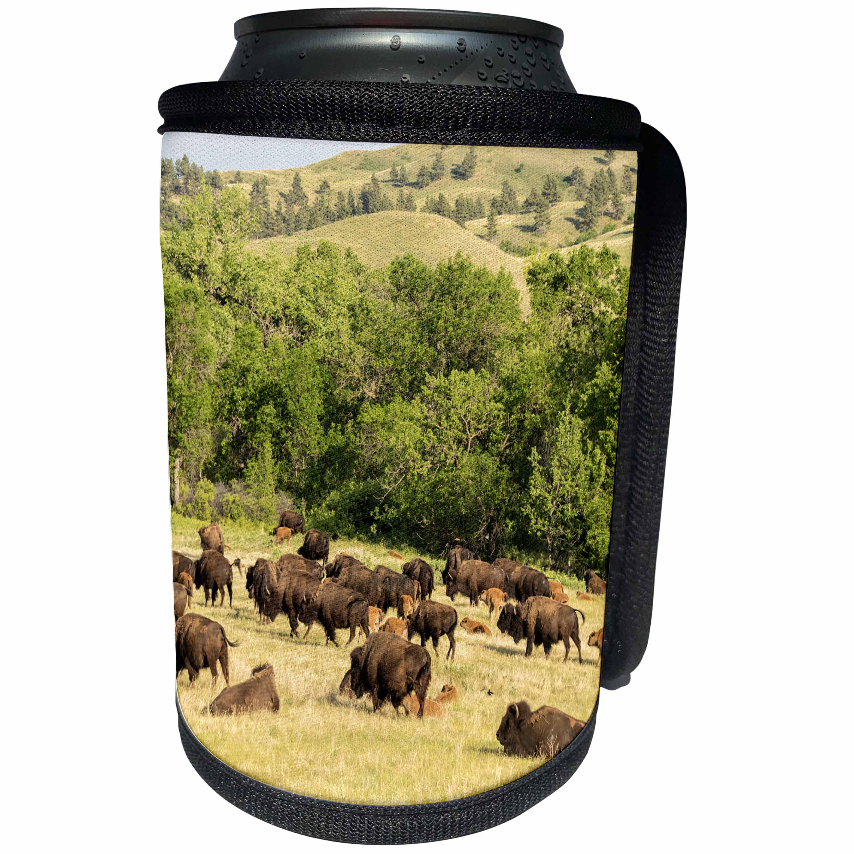 3dRose Danita Delimont - Bison - USA, South Dakota, Custer State Park. Bison herd in field. - Can Cooler Bottle Wrap (cc_260009)