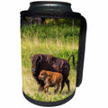 3dRose Danita Delimont - Bison - Bison herd with calves in Custer State Park, South Dakota, USA - Can Cooler Bottle Wrap (cc_260016)