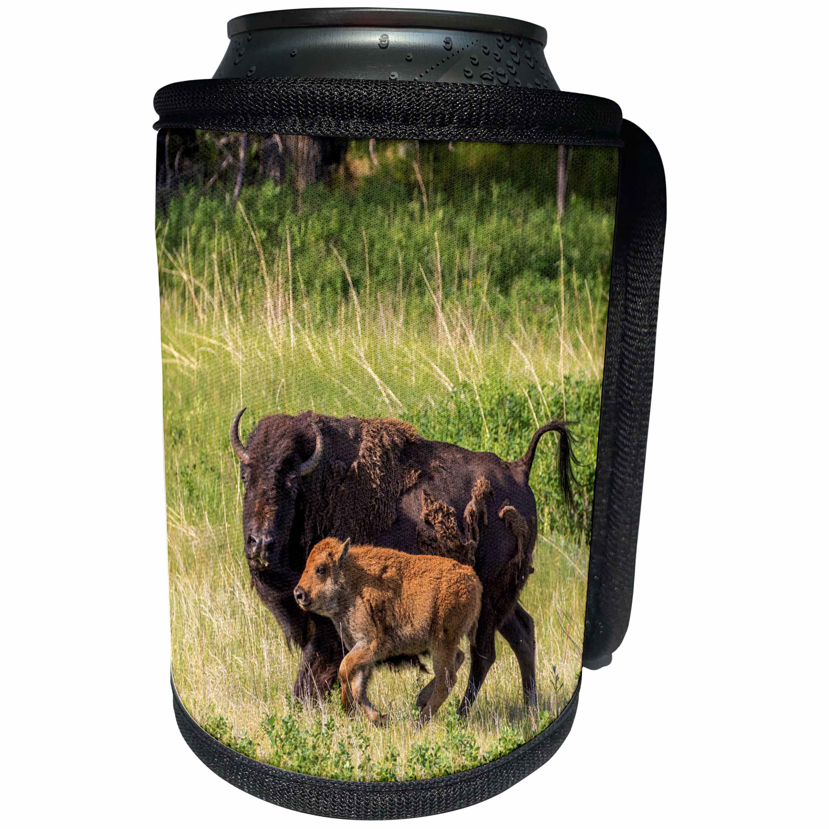 3dRose Danita Delimont - Bison - Bison herd with calves in Custer State Park, South Dakota, USA - Can Cooler Bottle Wrap (cc_260016)