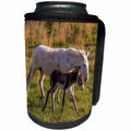 3dRose Danita Delimont - Donkeys - Wild burros in Custer State Park, South Dakota, USA - Can Cooler Bottle Wrap (cc_260024)