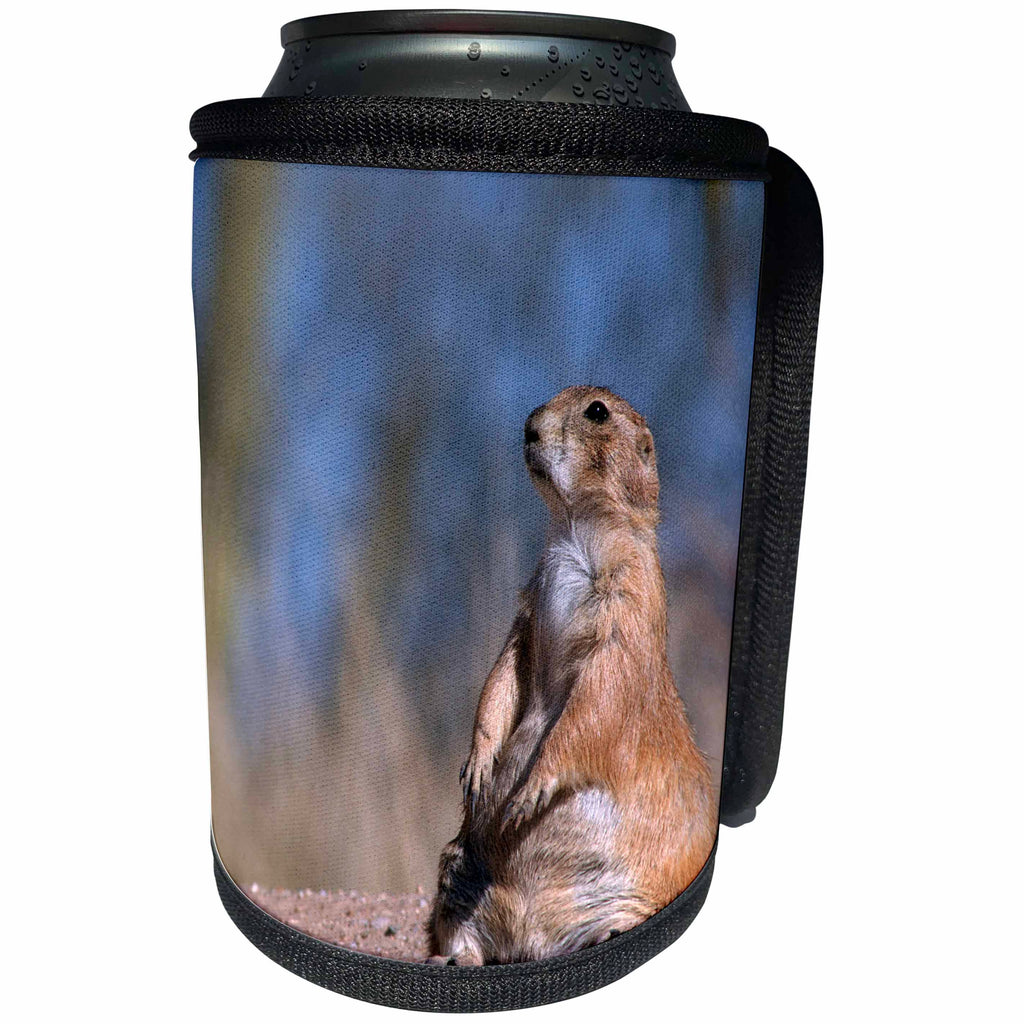 3dRose Danita Delimont - Rodents - Black-tailed prairie dog sitting, Badlands NP, South Dakota, USA - Can Cooler Bottle Wrap (cc_260025)