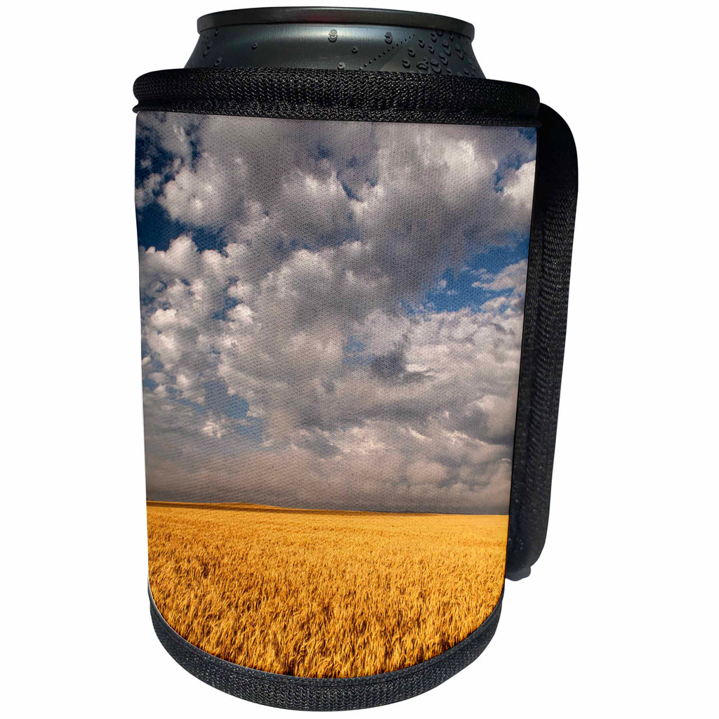 3dRose Danita Delimont - Agriculture - South Dakota, Summer morning wheat fields on the South Dakota prairie - Can Cooler Bottle Wrap (cc_260026)
