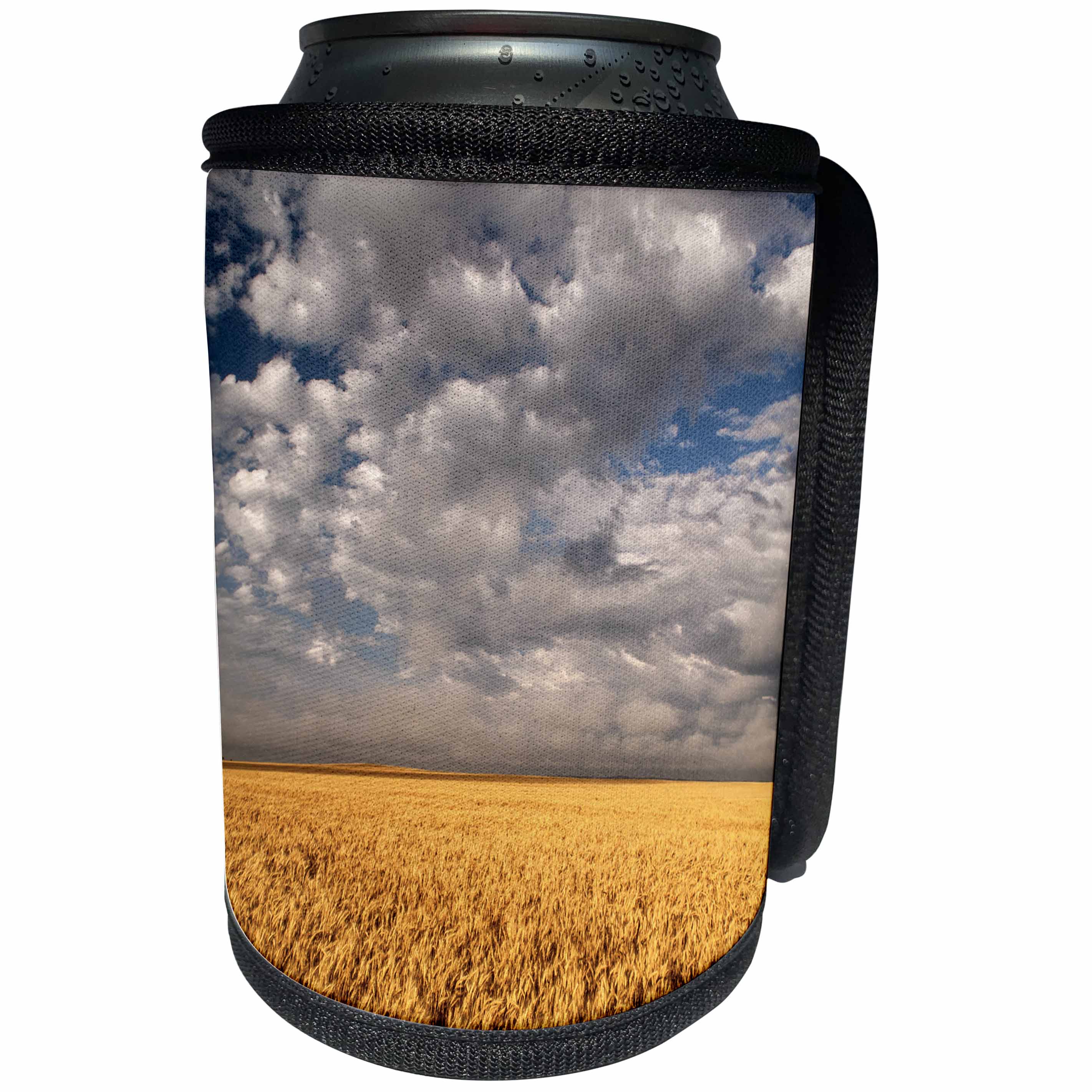 3dRose Danita Delimont - Agriculture - South Dakota, Summer morning wheat fields on the South Dakota prairie - Can Cooler Bottle Wrap (cc_260026)