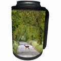 3dRose Danita Delimont - Deer - Female deer crossing Sparks Lane in morning, Cades Cove, Tennessee - Can Cooler Bottle Wrap (cc_260038)