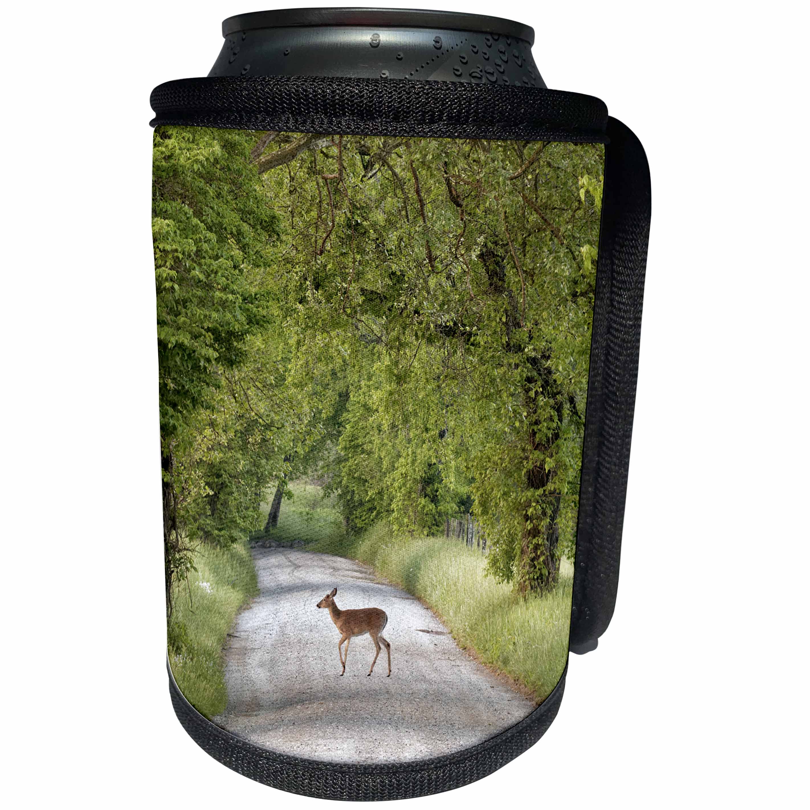 3dRose Danita Delimont - Deer - Female deer crossing Sparks Lane in morning, Cades Cove, Tennessee - Can Cooler Bottle Wrap (cc_260038)