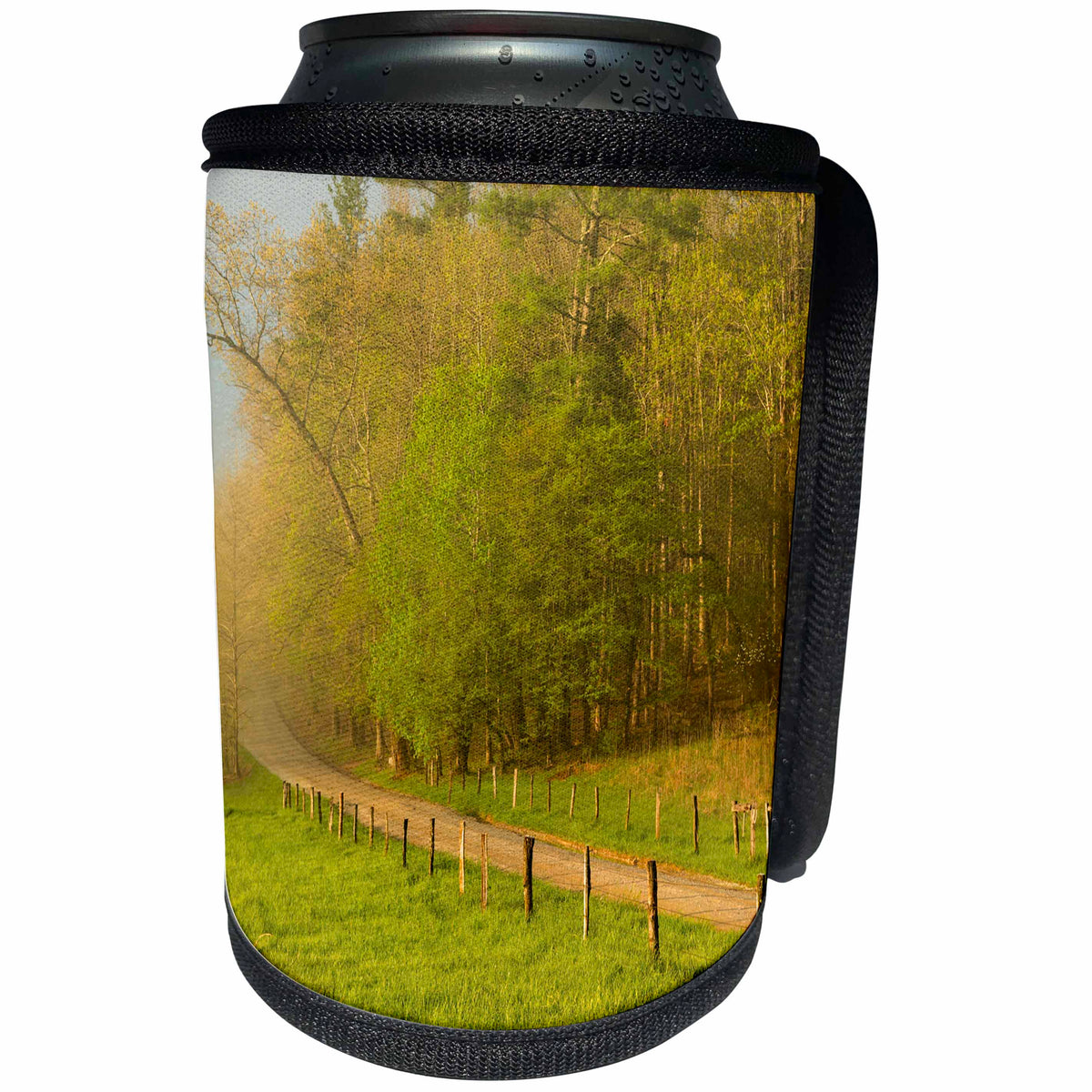 3dRose Danita Delimont - Roads - Hyatt Lane at dawn, Cades Cove, Great Smoky Mountains NP, Tennessee - Can Cooler Bottle Wrap (cc_260040)