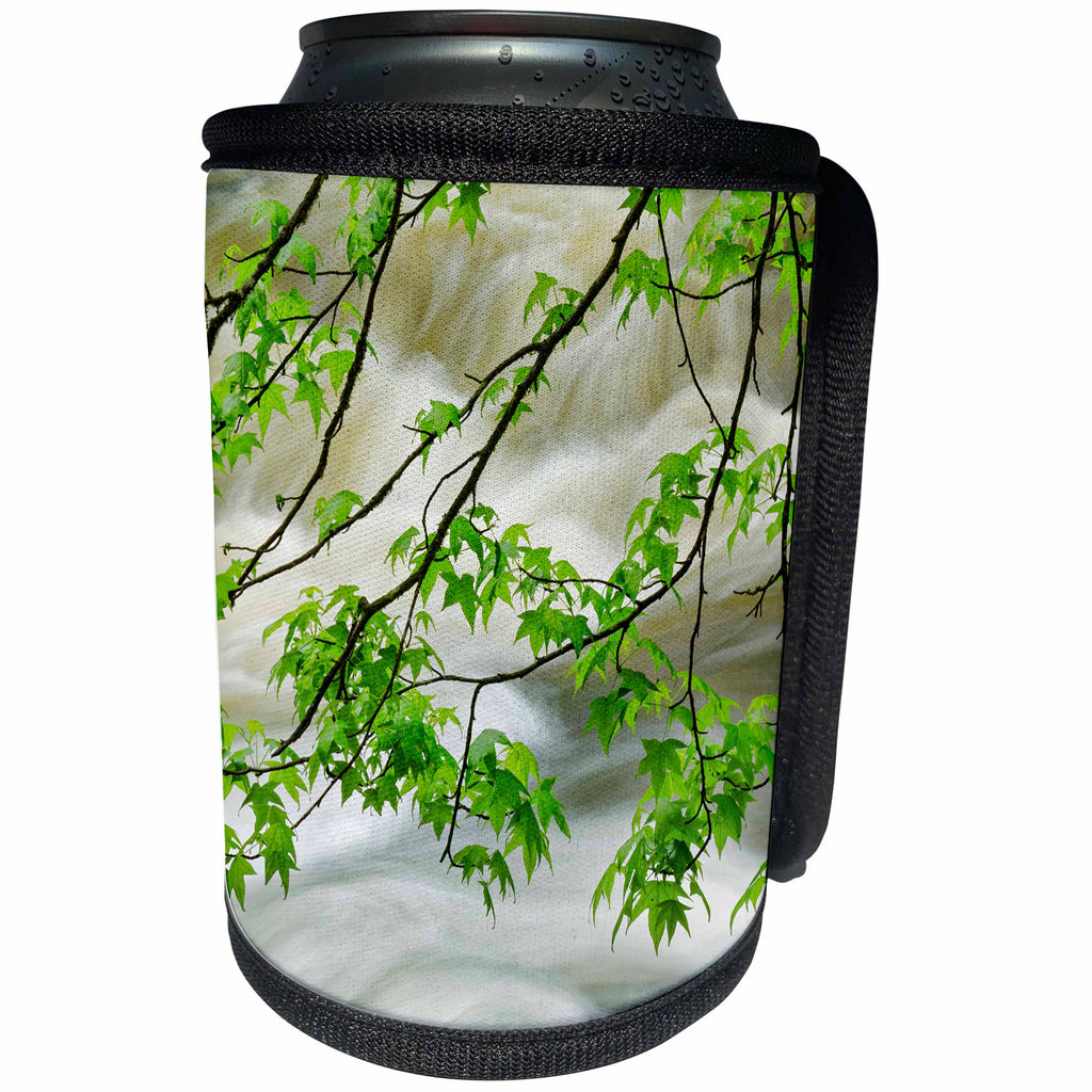 3dRose Danita Delimont - Botanical - Overhanging maple tree, Middle Prong, Great Smoky Mountains, Tennessee - Can Cooler Bottle Wrap (cc_260045)