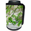 3dRose Danita Delimont - Botanical - Overhanging maple tree, Middle Prong, Great Smoky Mountains, Tennessee - Can Cooler Bottle Wrap (cc_260045)
