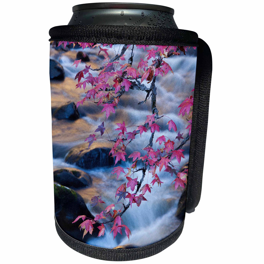 3dRose Danita Delimont - Streams - USA, Smoky Mountains National Park, Fall foliage at a mountain stream. - Can Cooler Bottle Wrap (cc_260048)