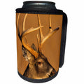 3dRose Danita Delimont - Deer - White-tailed Deer, Great Smoky Mountains NP, Tennessee - Can Cooler Bottle Wrap (cc_260060)