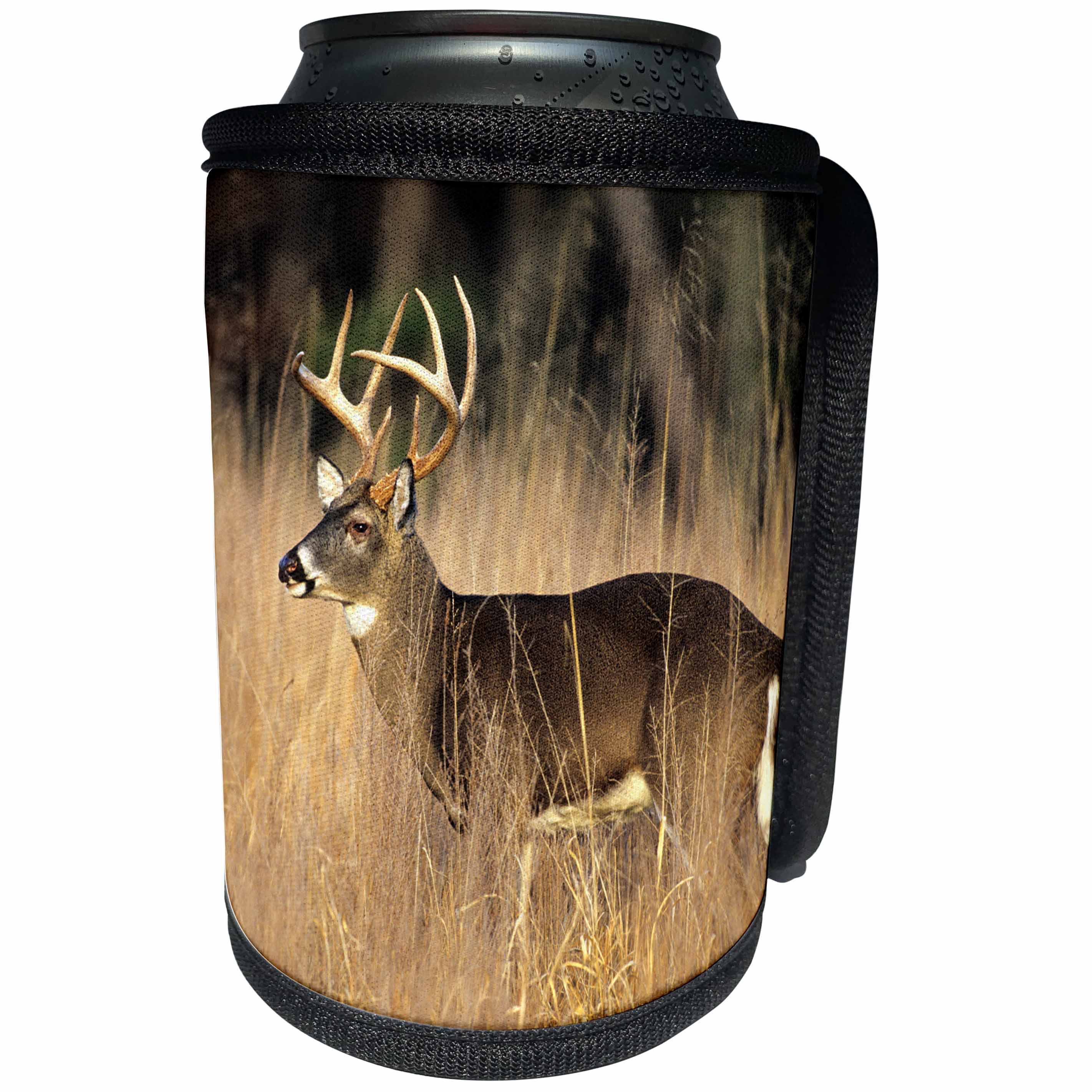 3dRose Danita Delimont - Deer - White-tailed Deer buck in field, Great Smoky Mountains NP, Tennessee - Can Cooler Bottle Wrap (cc_260061)