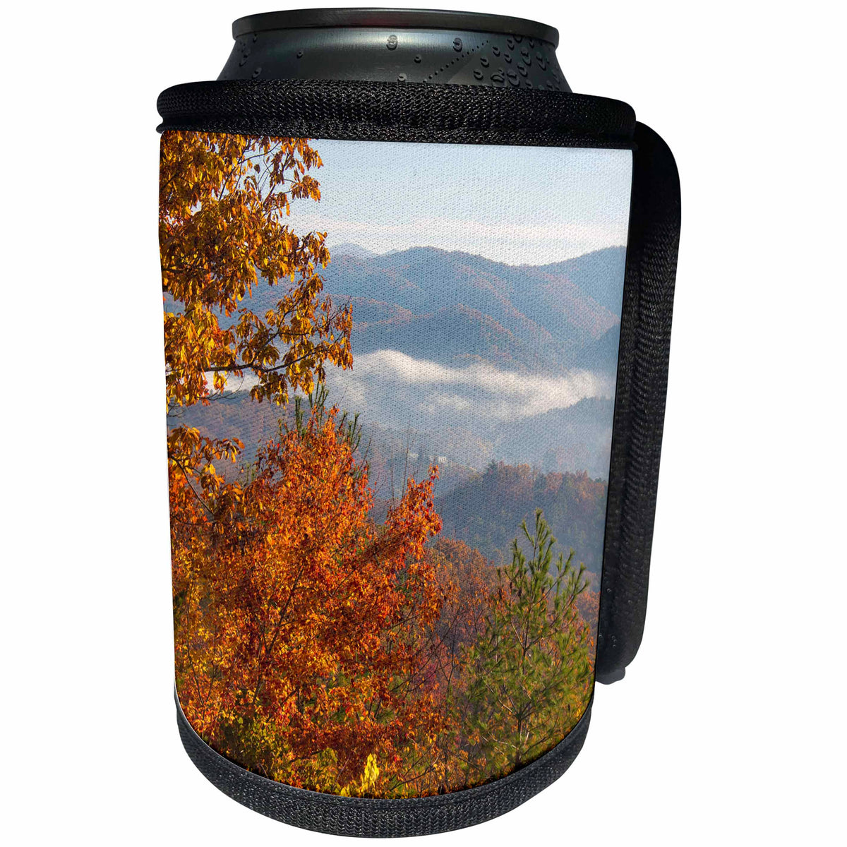 3dRose Danita Delimont - tennessee - Usa, Tennessee. Morning light Fog in valleys Smoky Mountain NP. - Can Cooler Bottle Wrap (cc_260062)