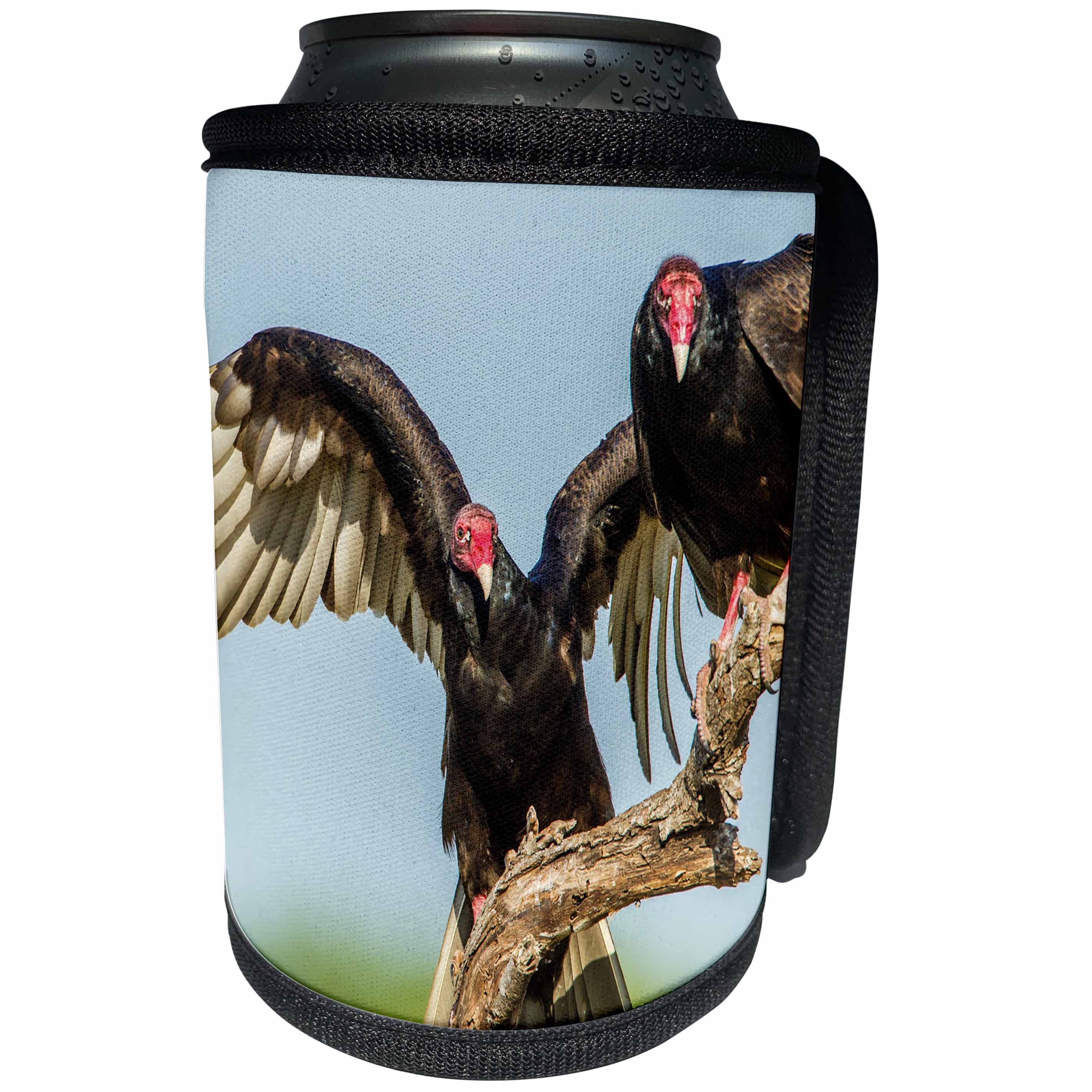 3dRose Danita Delimont - Birds - USA, Texas, Hidalgo County. Close-up of two turkey vultures on limb. - Can Cooler Bottle Wrap (cc_260075)