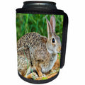 3dRose Danita Delimont - Rabbits - USA, Texas, Hidalgo County. Cottontail rabbit eating. - Can Cooler Bottle Wrap (cc_260079)