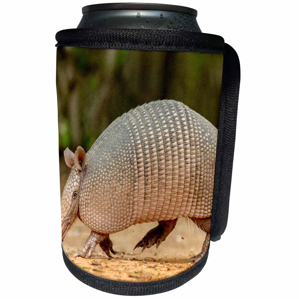 3dRose Danita Delimont - Armadillo - Texas, Gatesville, Santa Clara Ranch. Nine-banded armadillo walking. - Can Cooler Bottle Wrap (cc_260084)