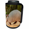 3dRose Danita Delimont - Armadillo - Texas, Gatesville, Santa Clara Ranch. Nine-banded armadillo walking. - Can Cooler Bottle Wrap (cc_260084)