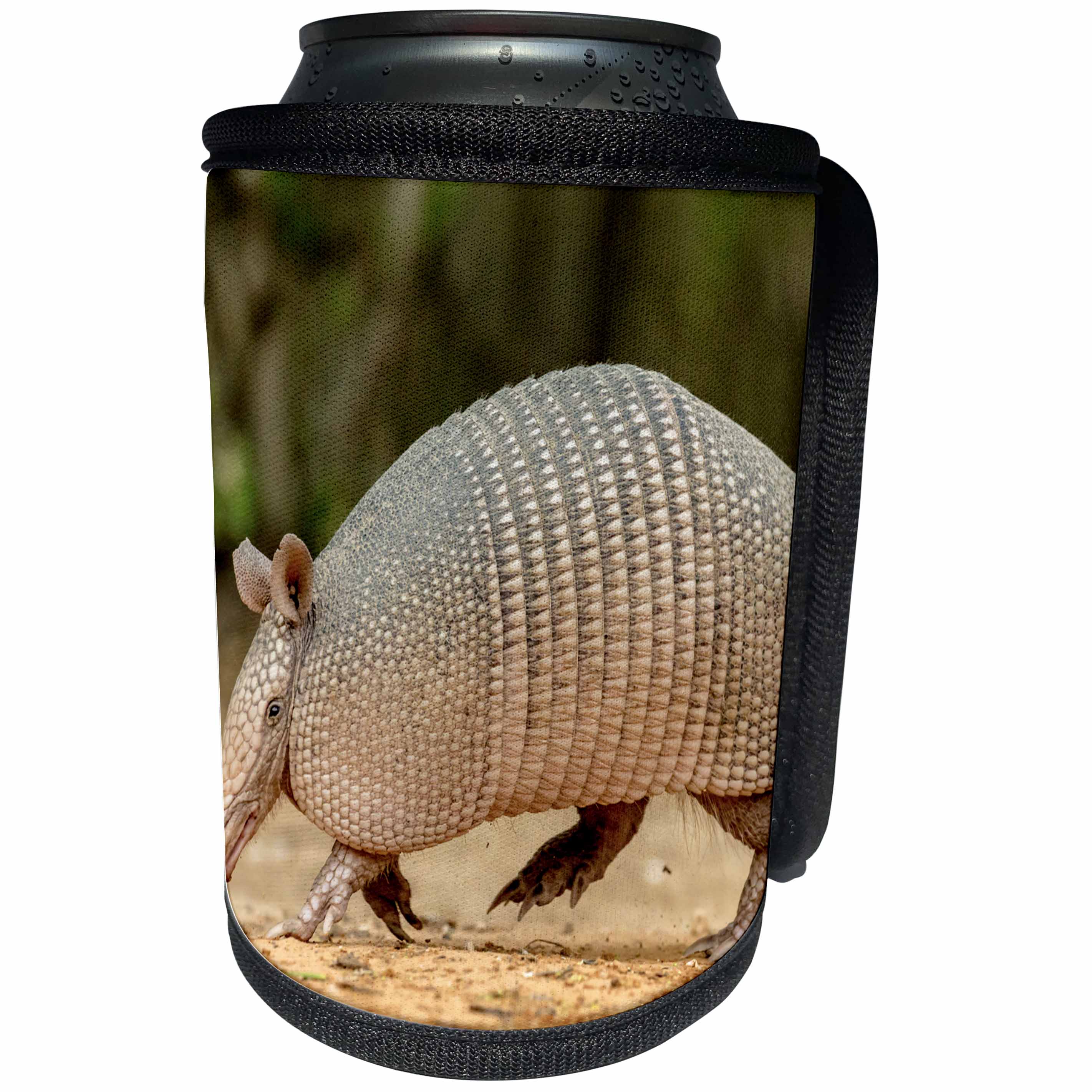 3dRose Danita Delimont - Armadillo - Texas, Gatesville, Santa Clara Ranch. Nine-banded armadillo walking. - Can Cooler Bottle Wrap (cc_260084)