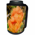3dRose Danita Delimont - Flowers - USA, Texas, Boca Chica. Prickly pear Cactus in Bloom. - Can Cooler Bottle Wrap (cc_260085)