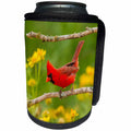 3dRose Danita Delimont - Birds - USA, Texas, Hidalgo County. Male cardinal perches on a branch - Can Cooler Bottle Wrap (cc_260091)