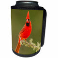 3dRose Danita Delimont - Birds - USA, Texas, Hidalgo County. Male cardinal portrait - Can Cooler Bottle Wrap (cc_260094)