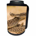 3dRose Danita Delimont - Snakes - Texas, Hidalgo Co., Western diamondback rattlesnake coiled to strike. - Can Cooler Bottle Wrap (cc_260096)