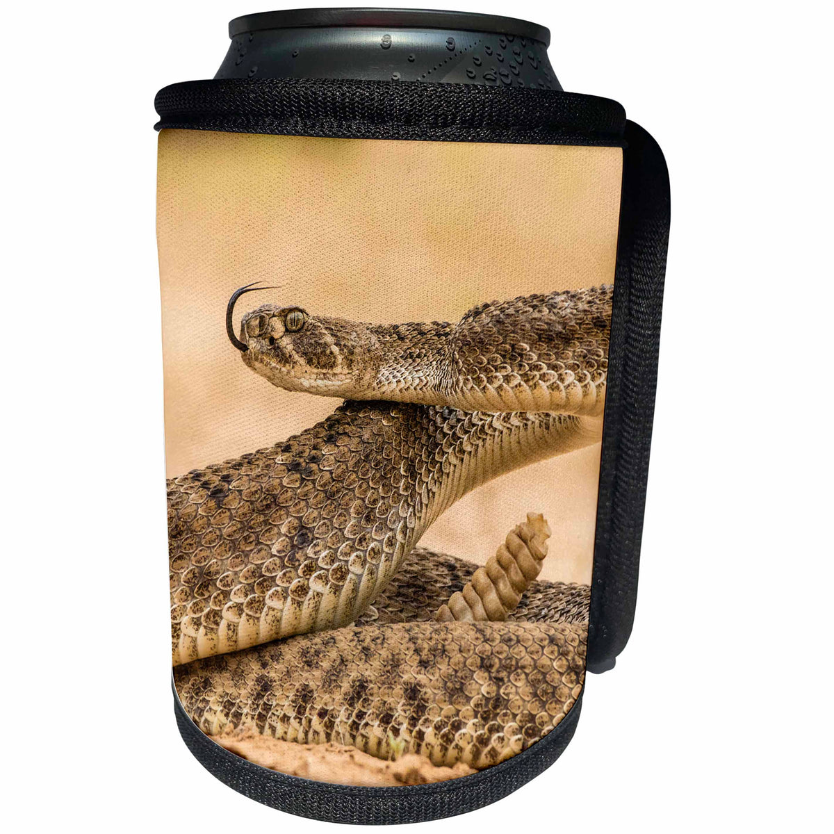 3dRose Danita Delimont - Snakes - Texas, Hidalgo Co., Western diamondback rattlesnake coiled to strike. - Can Cooler Bottle Wrap (cc_260096)