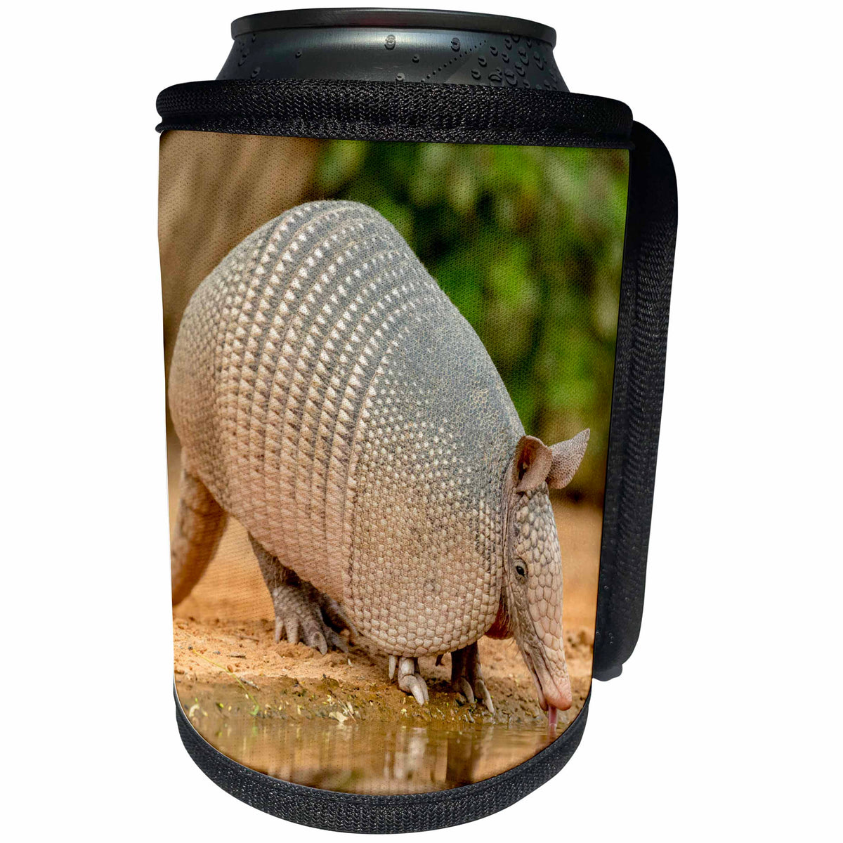 3dRose Danita Delimont - Armadillo - Texas, Gatesville, Santa Clara Ranch. Nine-banded armadillo drinking. - Can Cooler Bottle Wrap (cc_260104)