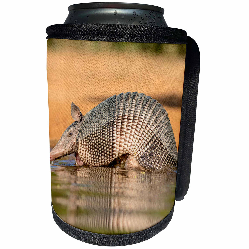 3dRose Danita Delimont - Armadillo - Texas, Gatesville. Nine-banded armadillo drinking. - Can Cooler Bottle Wrap (cc_260106)