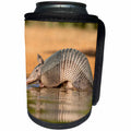 3dRose Danita Delimont - Armadillo - Texas, Gatesville. Nine-banded armadillo drinking. - Can Cooler Bottle Wrap (cc_260106)