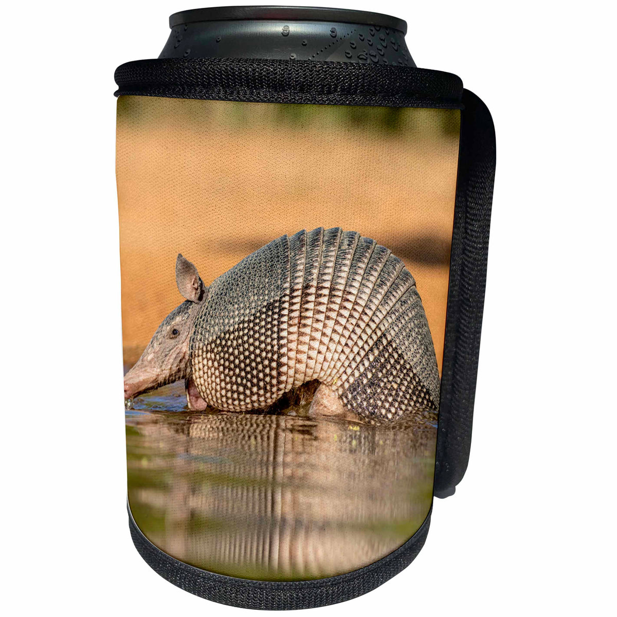 3dRose Danita Delimont - Armadillo - Texas, Gatesville. Nine-banded armadillo drinking. - Can Cooler Bottle Wrap (cc_260106)