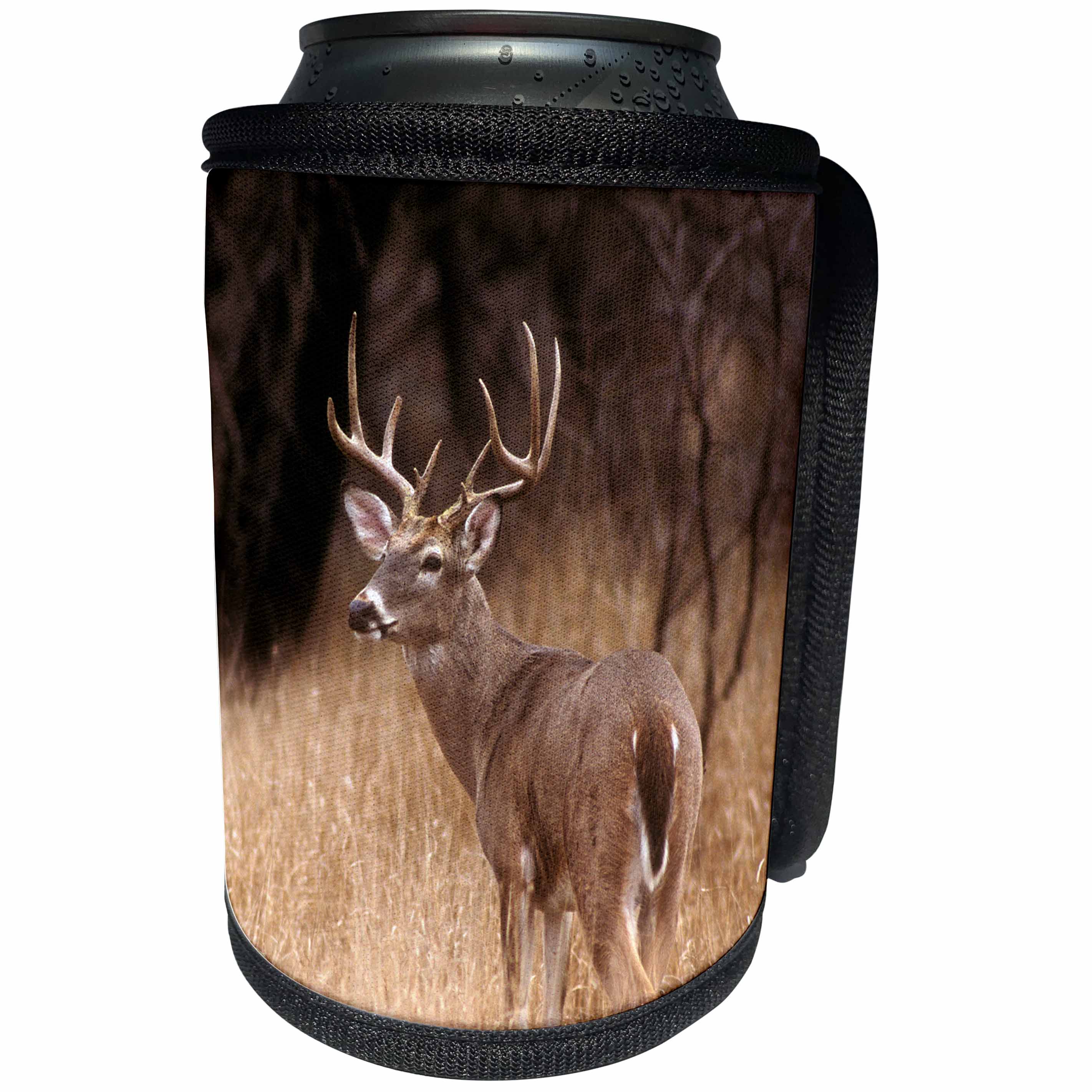 3dRose Danita Delimont - Deer - White tailed deer alert to predators, Choke Canyon State Park, Texas - Can Cooler Bottle Wrap (cc_260107)
