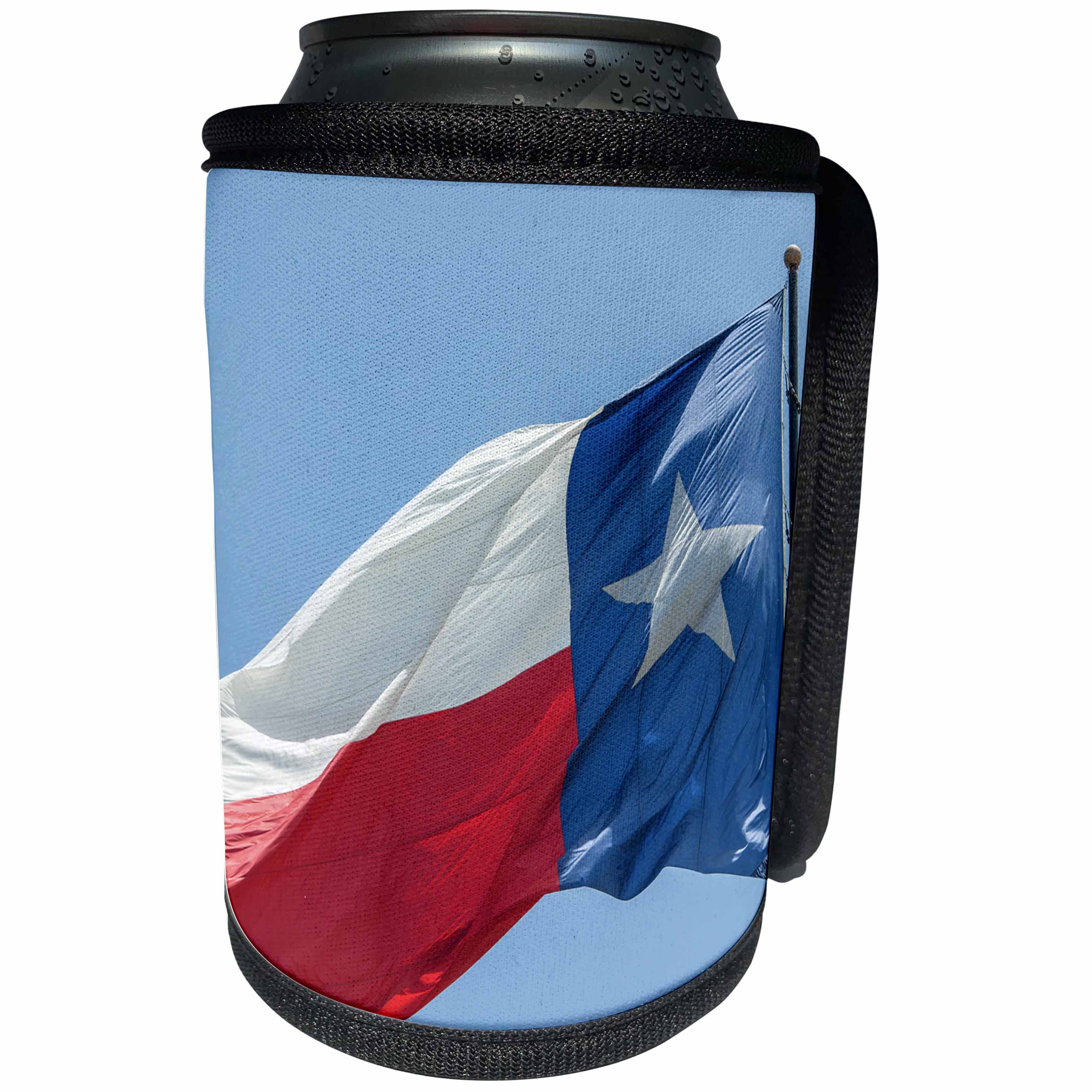 3dRose Danita Delimont - Flags - Texas state flag, Austin, Texas, Usa - Can Cooler Bottle Wrap (cc_260109)