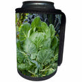 3dRose Danita Delimont - food - Cabbage in a neighborhood garden - Can Cooler Bottle Wrap (cc_260112)