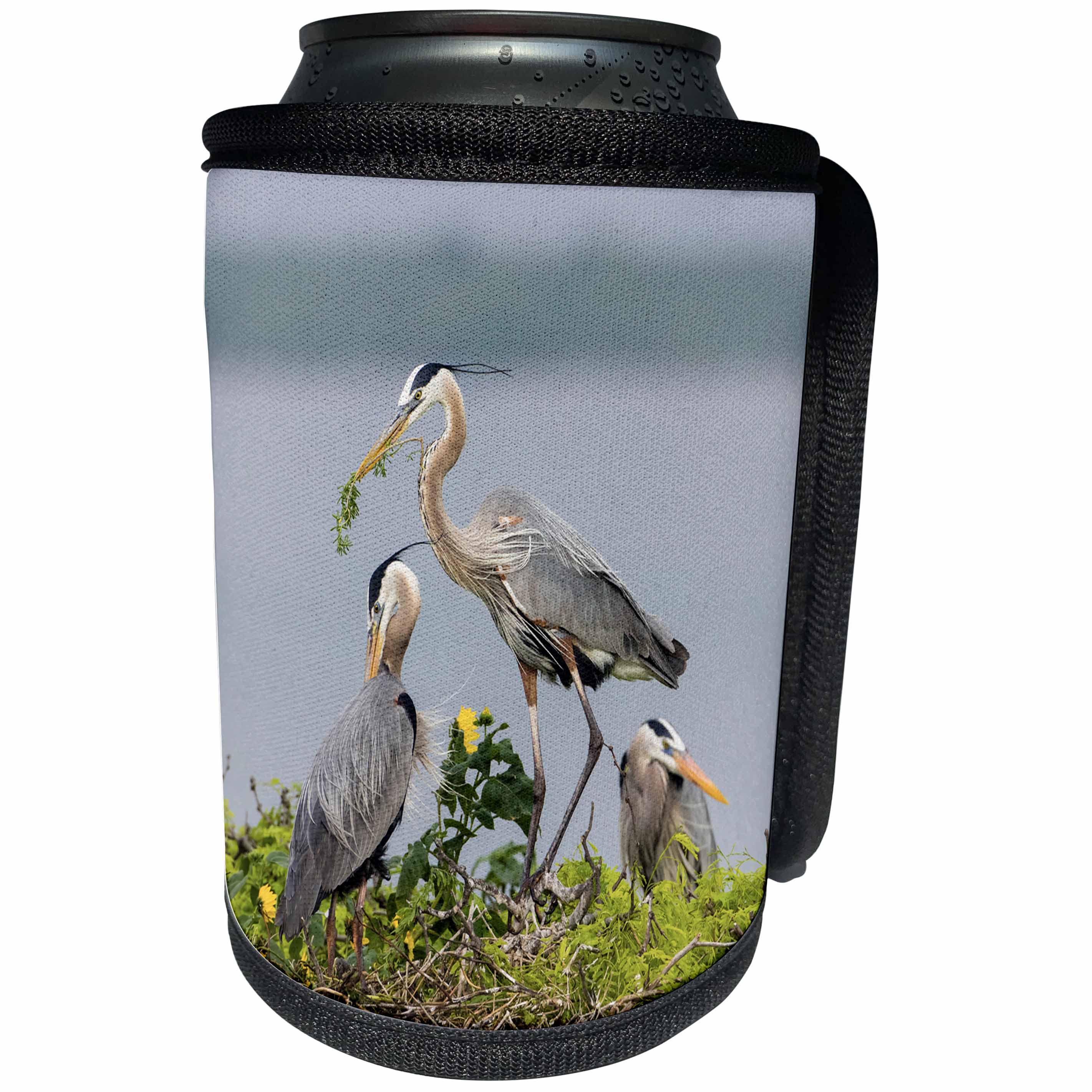 3dRose Danita Delimont - Birds - Great Blue Heron building its nest. - Can Cooler Bottle Wrap (cc_260114)