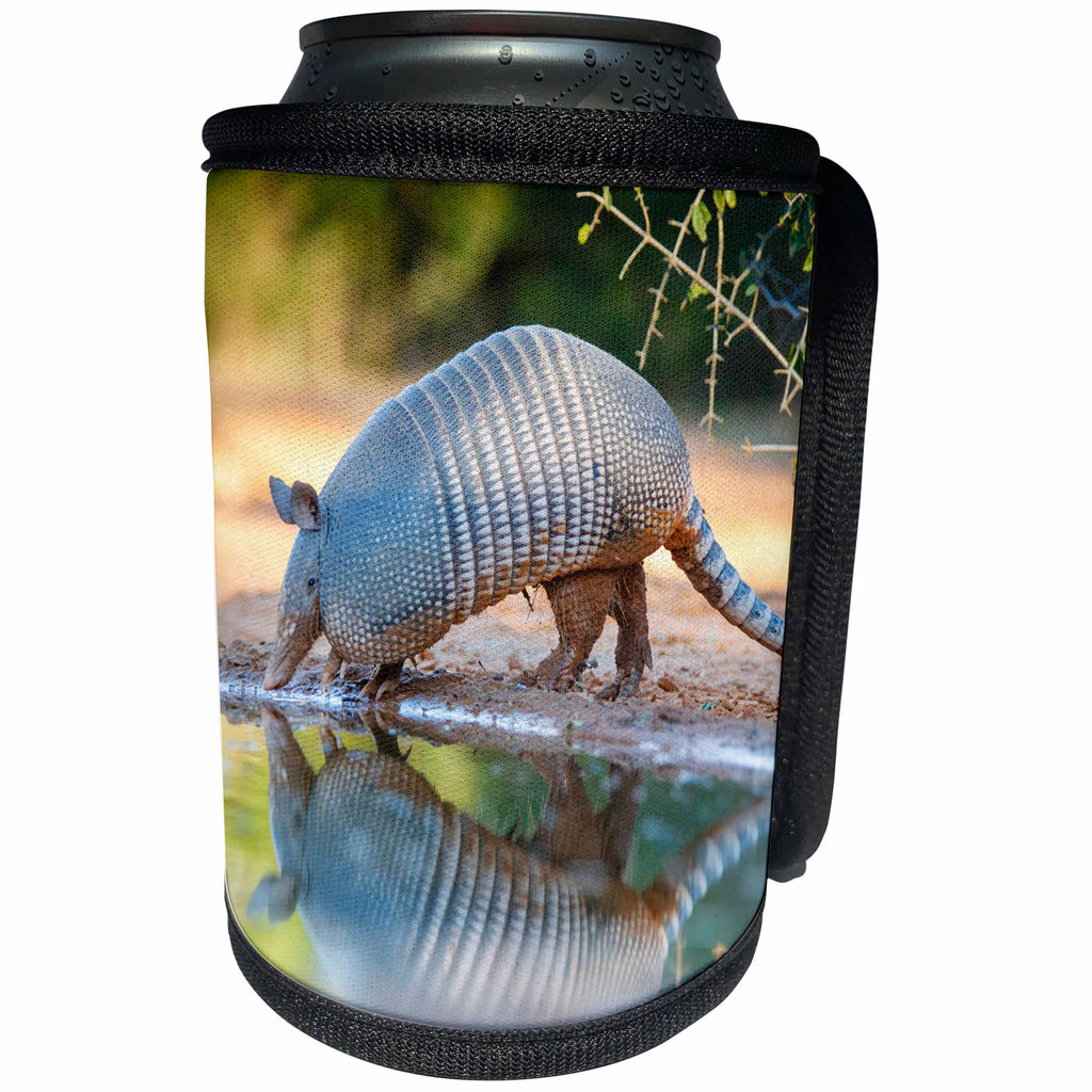3dRose Danita Delimont - Armadillo - Nine-banded Armadillo, Dasypus novemcinctus, drinking - Can Cooler Bottle Wrap (cc_260125)