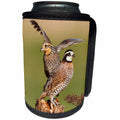 3dRose Danita Delimont - Birds - Northern Bobwhite, Colinus virginianus, pair landing on log - Can Cooler Bottle Wrap (cc_260127)