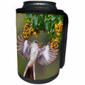 3dRose Danita Delimont - Birds - Northern Mockingbird, Mimus polyglottos, feeding on anaqua berries - Can Cooler Bottle Wrap (cc_260130)