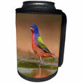 3dRose Danita Delimont - Birds - Painted Bunting, Passerina ciris, male bathing in ranch pond - Can Cooler Bottle Wrap (cc_260131)