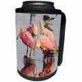 3dRose Danita Delimont - Birds - Roseate Spoonbills, Ajaia ajaja, feeding group - Can Cooler Bottle Wrap (cc_260135)