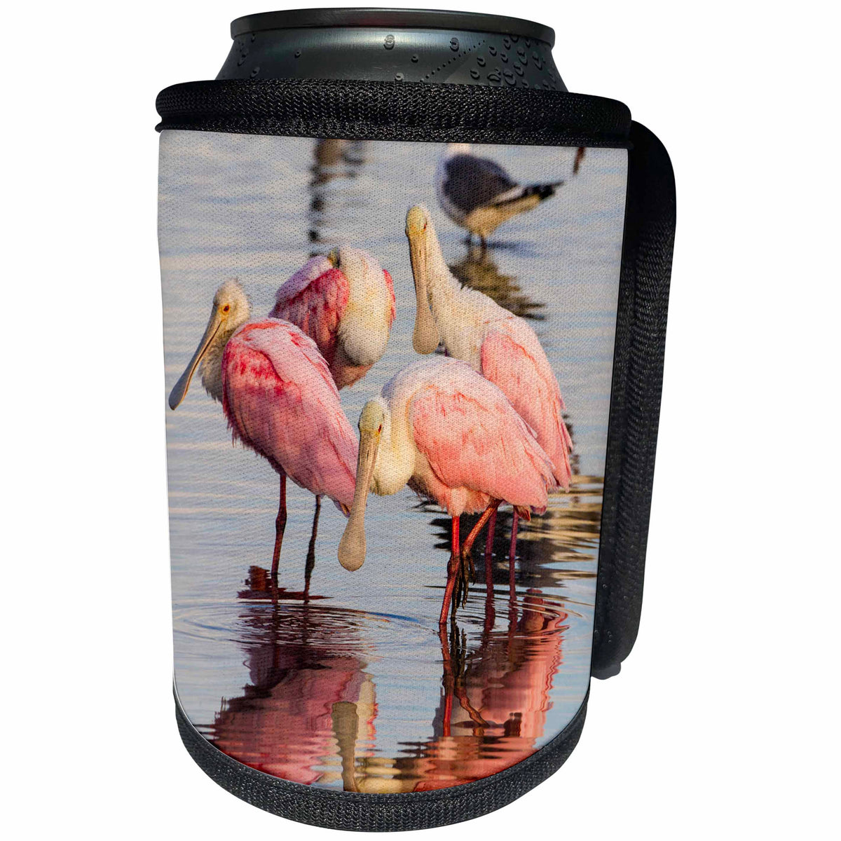 3dRose Danita Delimont - Birds - Roseate Spoonbills, Ajaia ajaja, feeding group - Can Cooler Bottle Wrap (cc_260135)