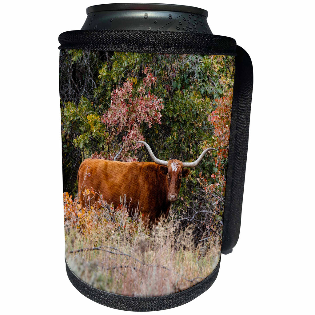 3dRose Danita Delimont - Cattle - Texas Longhorn cattle in autumn grassland - Can Cooler Bottle Wrap (cc_260138)