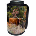 3dRose Danita Delimont - Cattle - Texas Longhorn cattle in autumn grassland - Can Cooler Bottle Wrap (cc_260138)
