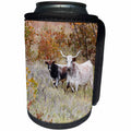 3dRose Danita Delimont - Cattle - Two Texas Longhorn cattle in grassland - Can Cooler Bottle Wrap (cc_260139)